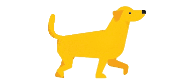 Paseo de mascotas