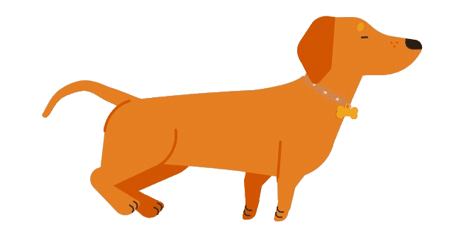 Cuidado de perros a domicilio
