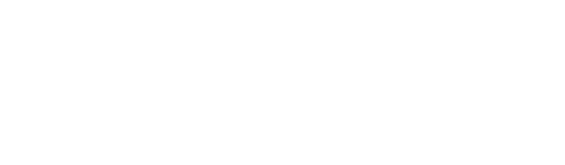 Funny dog