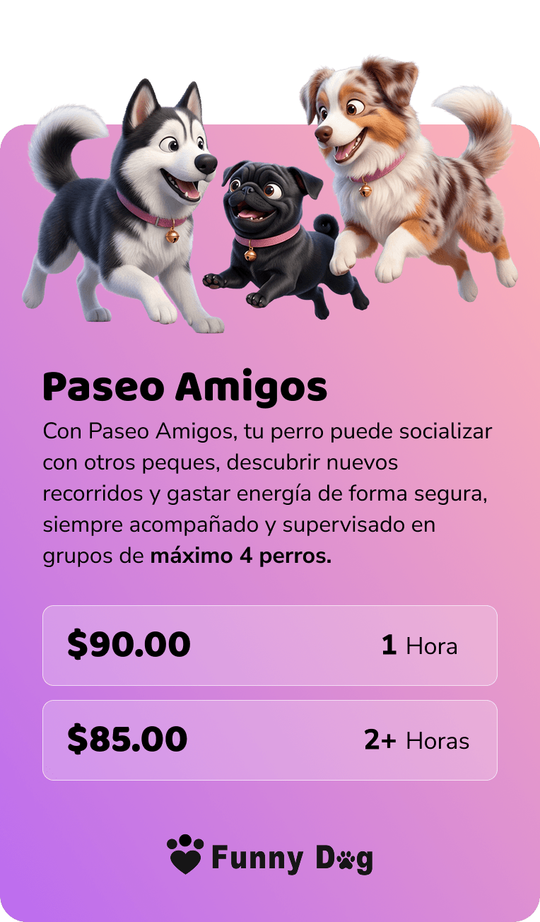 Paseo Amigos, paseo grupal para un máximo de cuatro perros